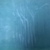 WP_20190313_003-1