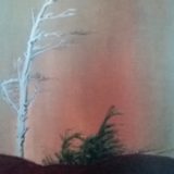 WP_20190313_004-1